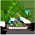 poster's avatar