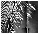 Stries