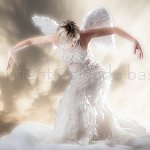 Série Anges: Sortie de Chrysalide