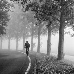 LE CYCLISTE