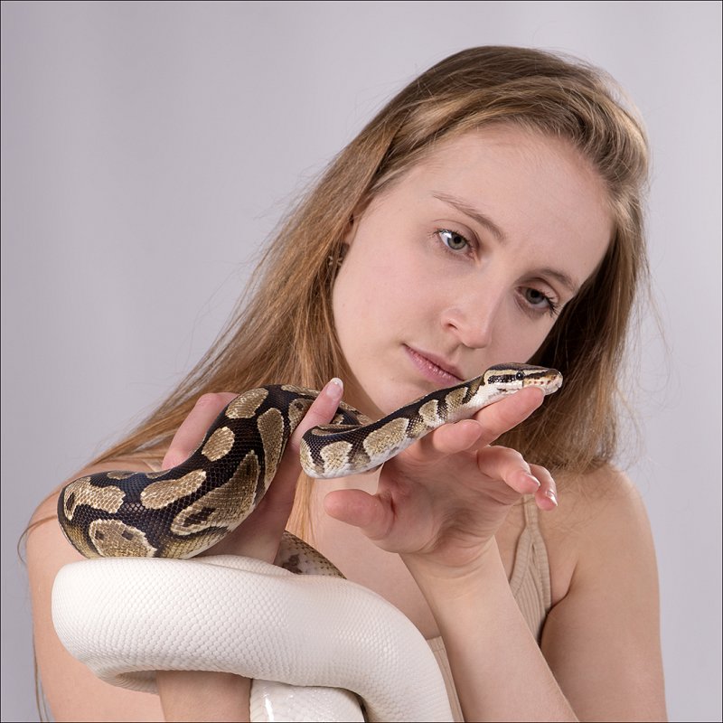 Louise et les serpents