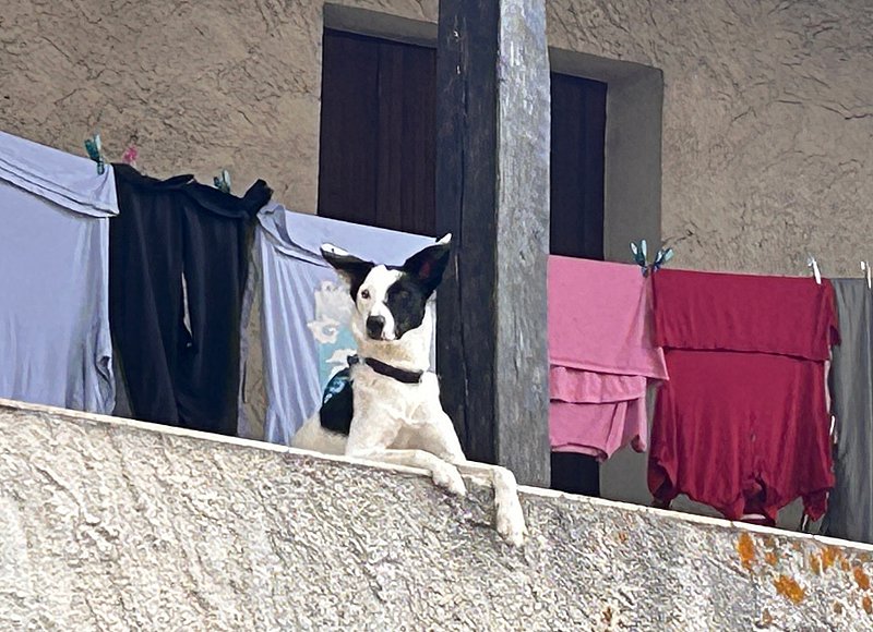 AimpPhotos_VAWV8507jpeg