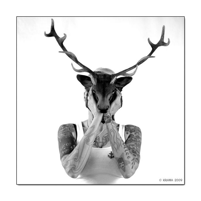 Karotte, Taxidermiste