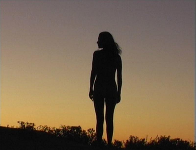 Silhouette 2